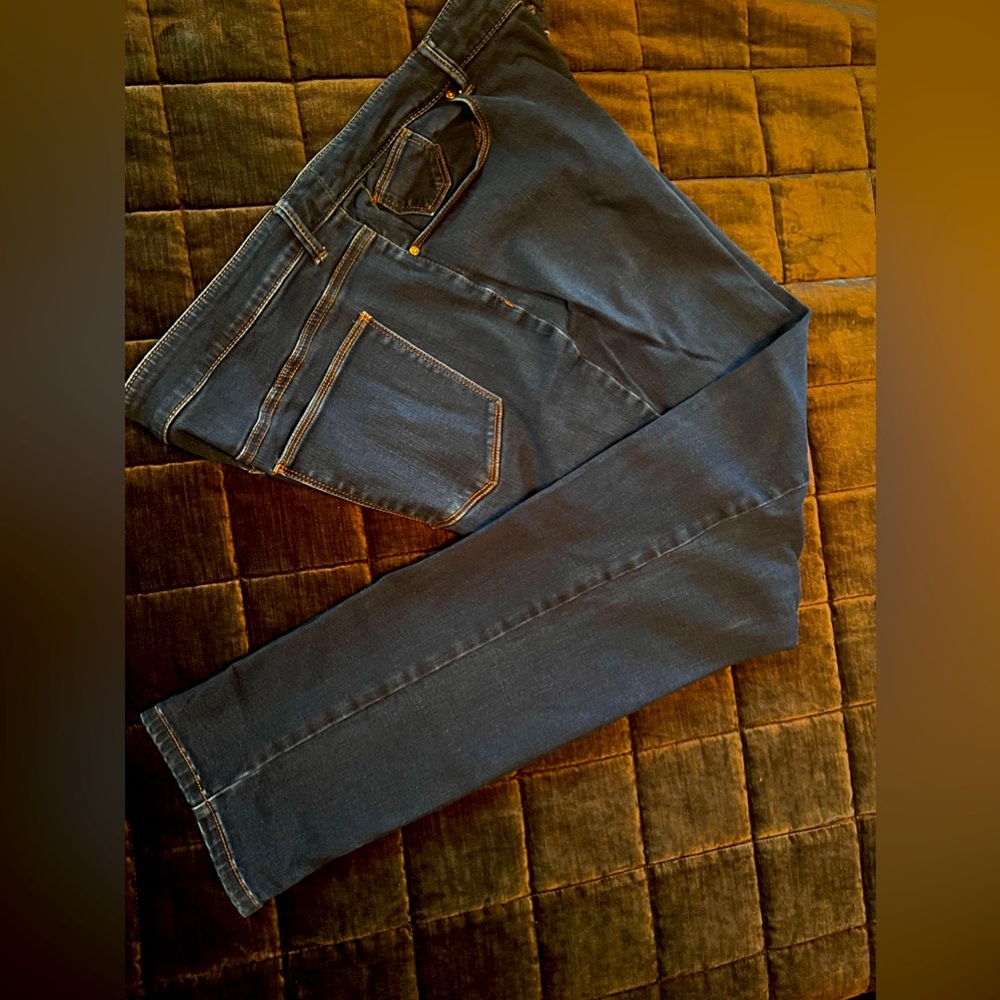 Chico’s Jeggings size 3.5 (Regular so 18) in dark wash.   Perfect condition.